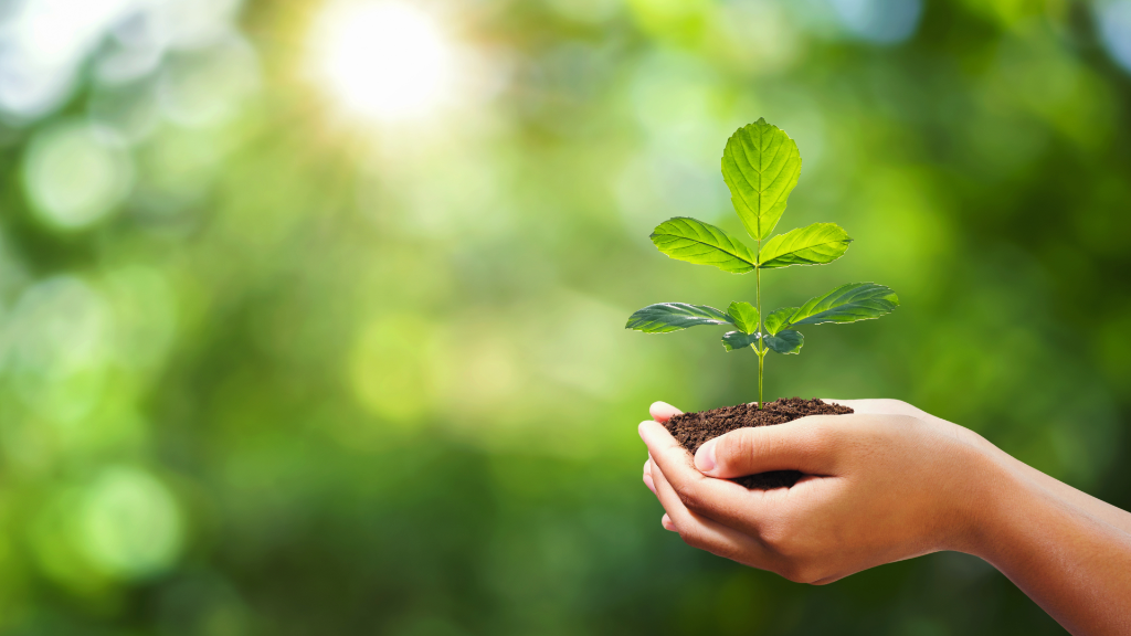 UNICON LEATHER - Sustainable Leather Sourcing & Environmental Responsibility